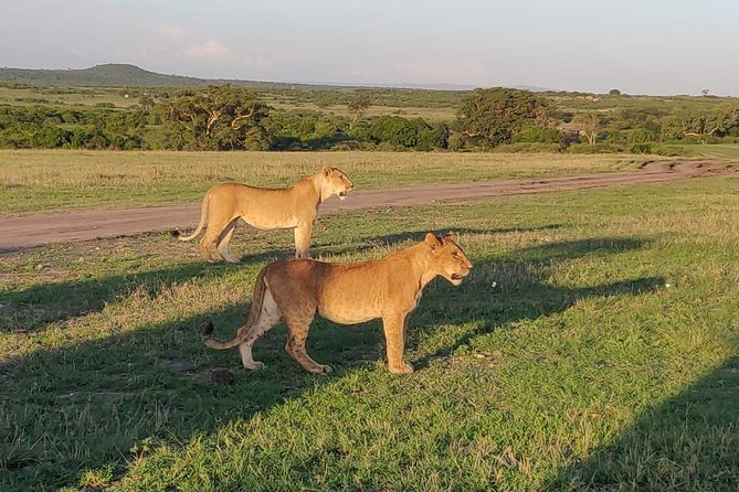 Overnight Amboseli National Park Safari from Nairobi - Should you book the $600 Amboseli overnight?