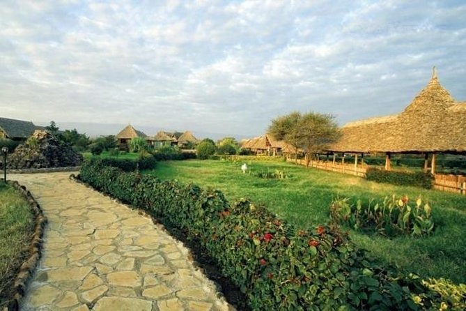 Overnight Safari to Amboseli National Park - Wildlife expectations in Amboseli