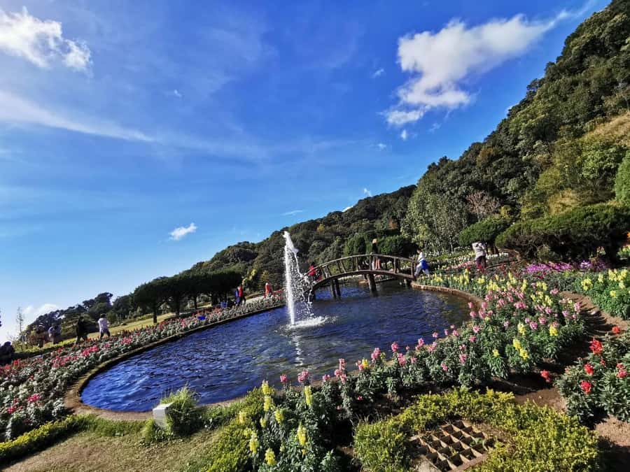 Pa Pong Piang Rice Terraces & Doi Inthanon National Park - Key points to know before you book