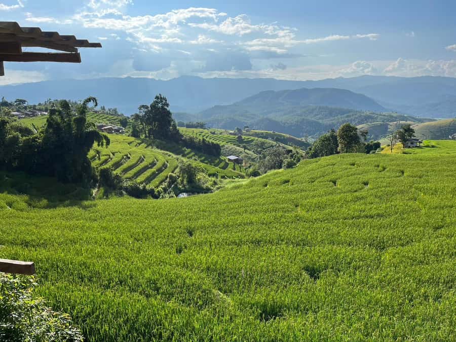 Pa Pong Piang Rice Terraces & Doi Inthanon National Park - Who will enjoy this day most
