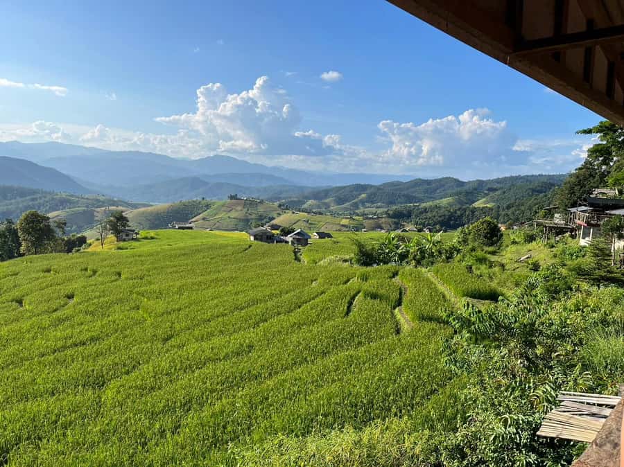 Pa Pong Piang Rice Terraces & Doi Inthanon National Park - Why Pa Pong Piang is worth the long drive