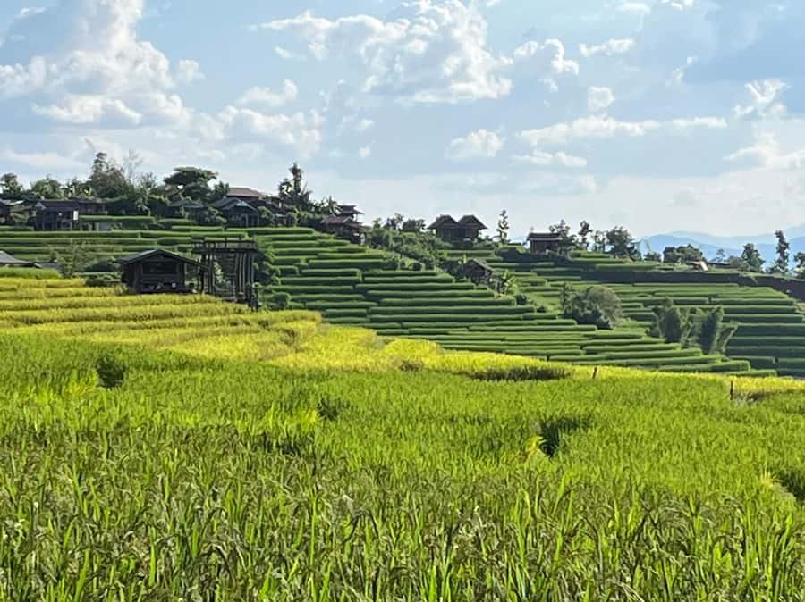 Pa Pong Piang Rice Terraces & Doi Inthanon National Park - Ban Mae Klang Luang and the White Karen community
