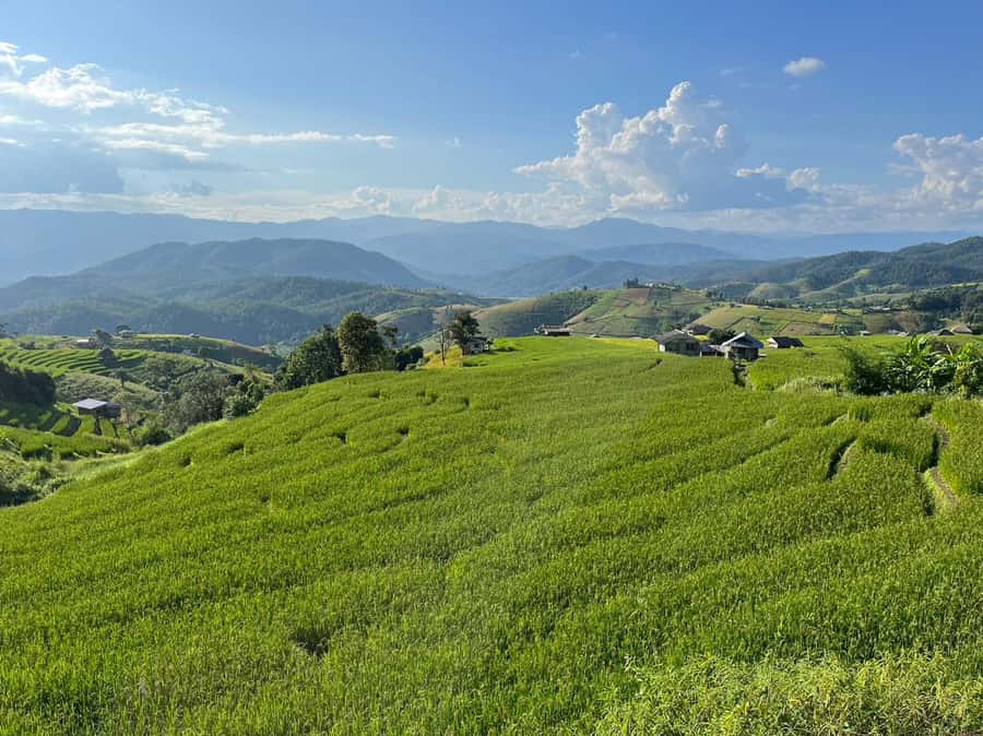 Pa Pong Piang Rice Terraces & Doi Inthanon National Park - Lunch, inclusions, and the $147 price