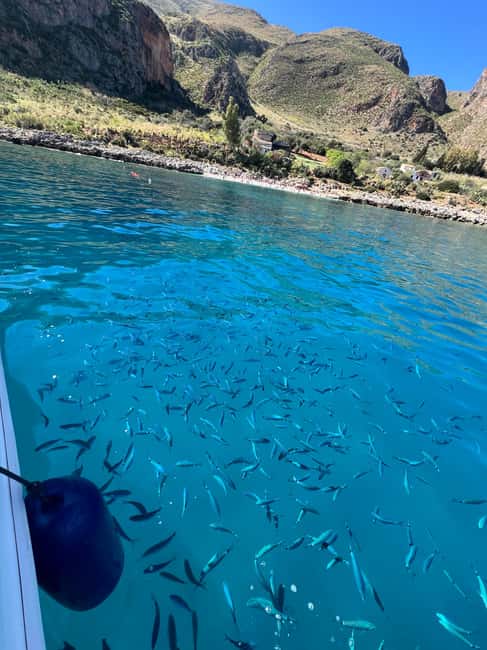 Palermo: Mondello Boat Tour and Nature Reserve with Snacks and Drinks - Snacks, drinks, and the social side