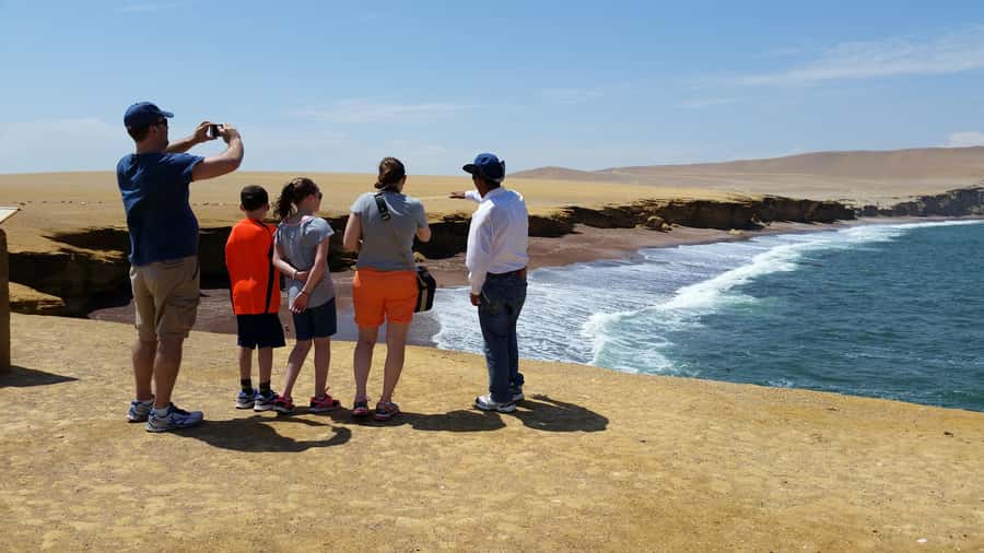 Paracas: Ballestas Island & Nature Reserve all inclusive - Key points at a glance