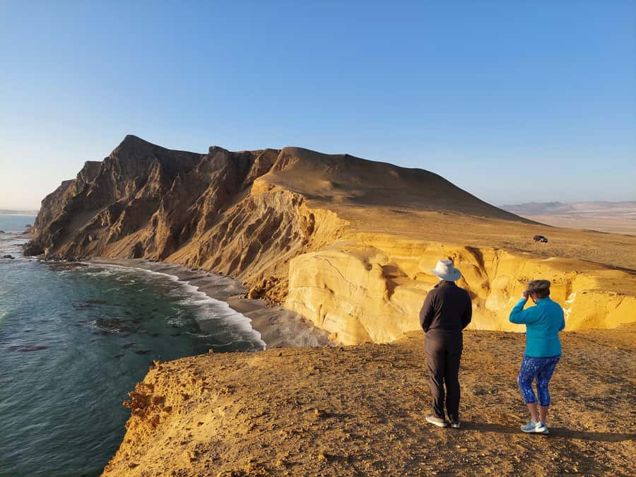 Paracas: Ballestas Island & Nature Reserve all inclusive - Ballestas Islands: birds, sea lions, and penguins
