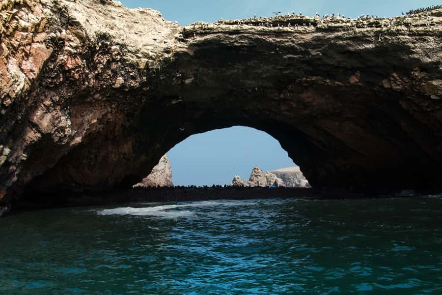 Paracas: Ballestas Island & Nature Reserve all inclusive - Catedral and Istmo viewpoints