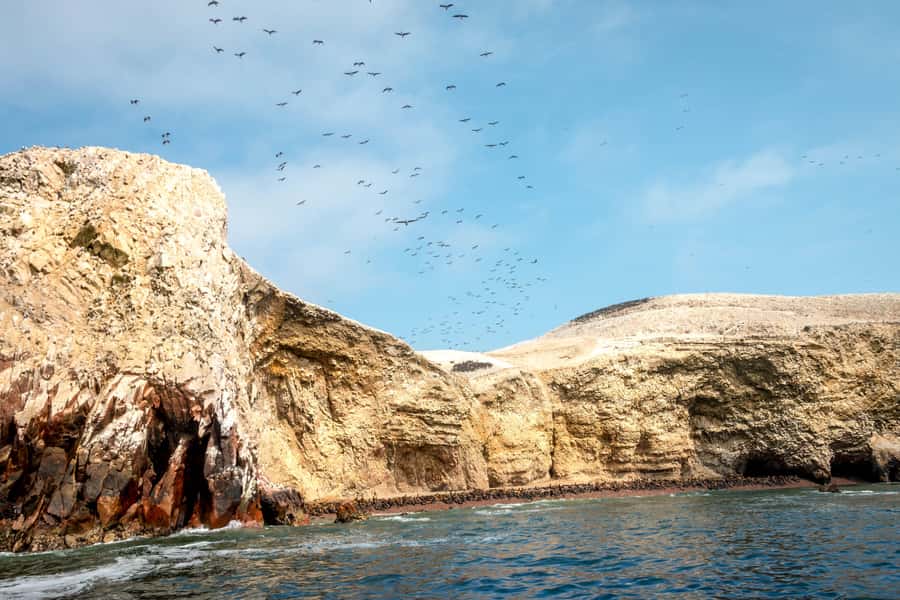 Paracas: Ballestas Island & Nature Reserve all inclusive - Red Beach and the stop at Lagunillas