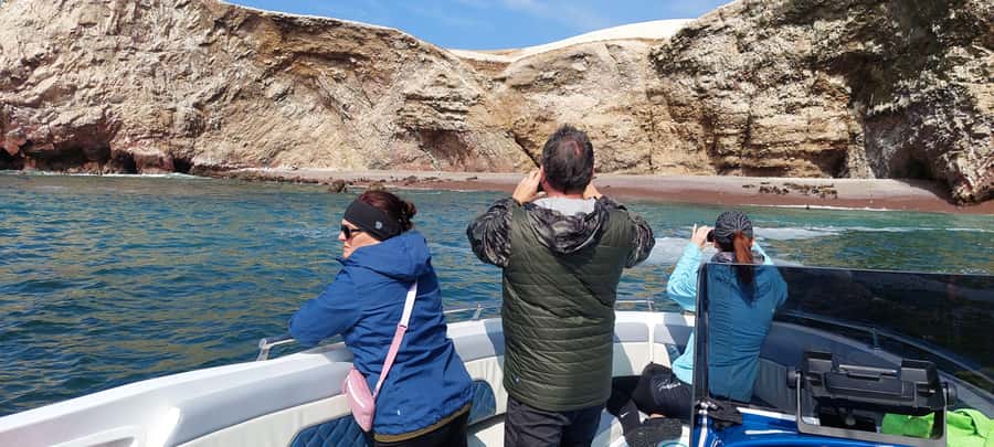 Paracas: Ballestas Island & Nature Reserve all inclusive - Who should book this experience