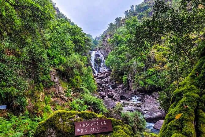 Peneda - Gerês National Park Lagoons and Waterfalls -Private Tour - Why a private guide changes the day