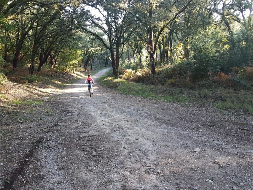 Peneda Gerês National Park: Self-Guided Electric Bike Tour - Key points to know before you ride