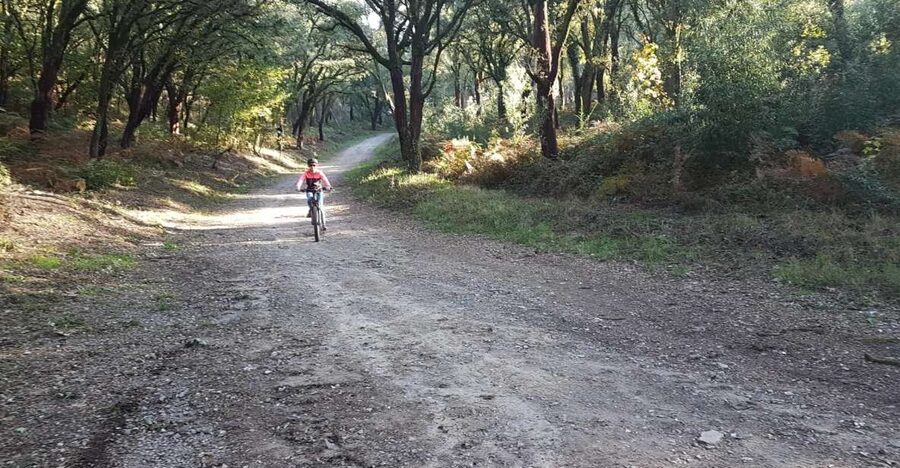 Peneda Gerês National Park: Self-Guided Electric Bike Tour - Starting at Tobogã Base and crossing the Lima River