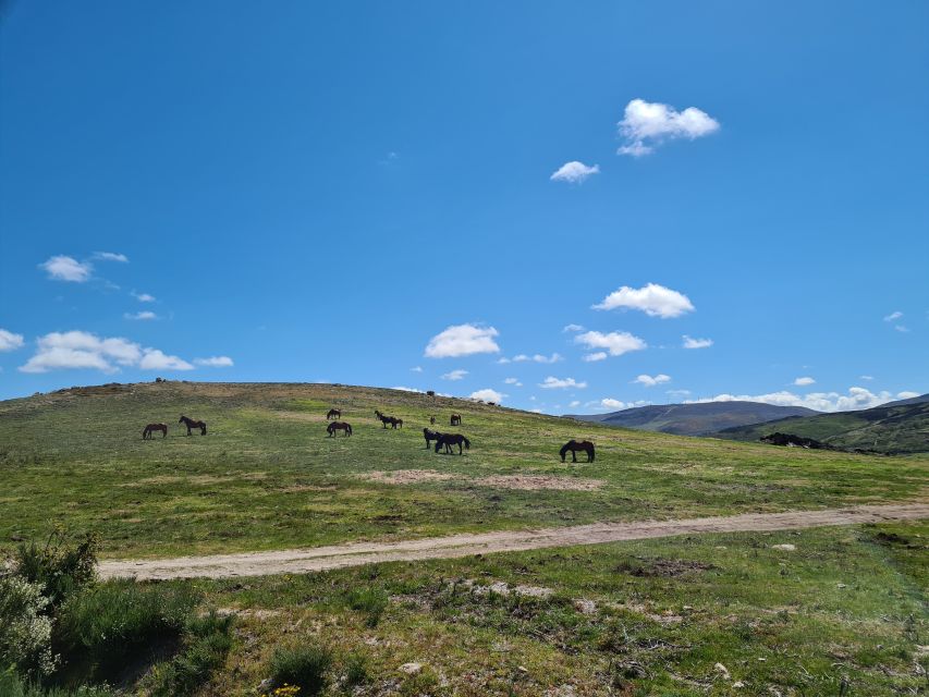 Peneda Gerês National Park: Self-Guided Electric Bike Tour - Ermelo and the climb toward Soajo