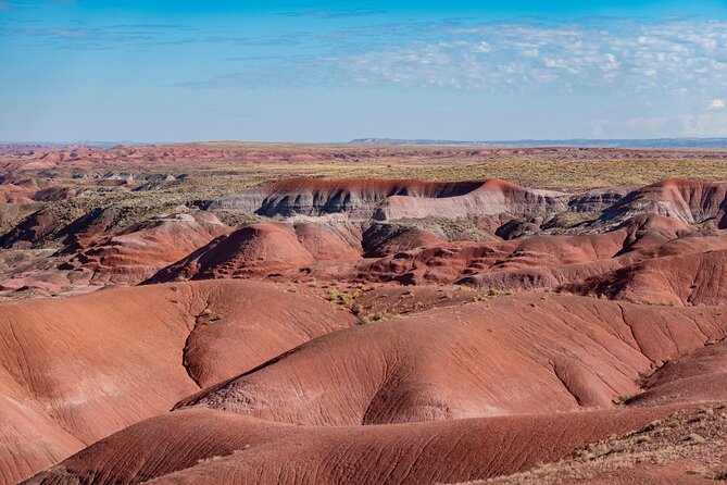 Petrified Forest National Park Self Guided Audio Driving Tour - Key points to know before you go