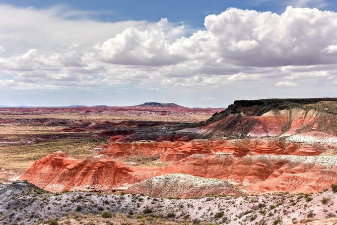 Petrified Forest National Park Self-Guided Driving Audio Tour - Route 66 and the park’s human stories