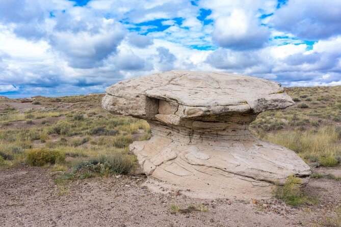 Petrified Forest National Park Self-Guided Driving Audio Tour - Lacey Point, the natural bridge, and Jasper Forest