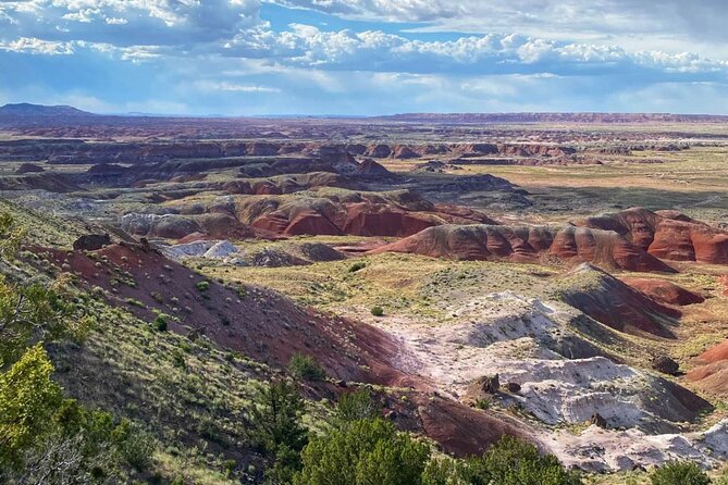 Petrified Forest National Park Self-Guided Driving Audio Tour - Crystal Forest and the Rainbow Forest Museum