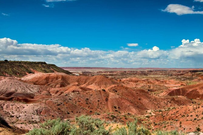 Petrified Forest National Park Self-Guided Driving Audio Tour - What the app does well, and where it can frustrate you