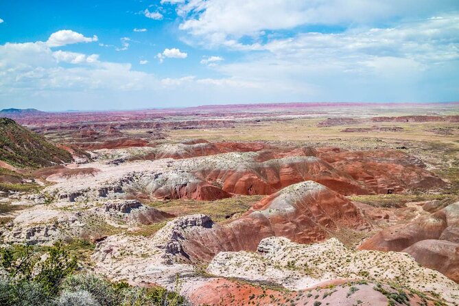 Petrified Forest National Park Self-Guided Driving Audio Tour - Is $16.99 good value?