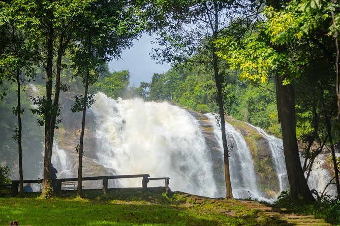 Pha Dok Siew Nature Trail & Doi Inthanon National Park From Chiang Mai - Walking with a local hill tribe guide