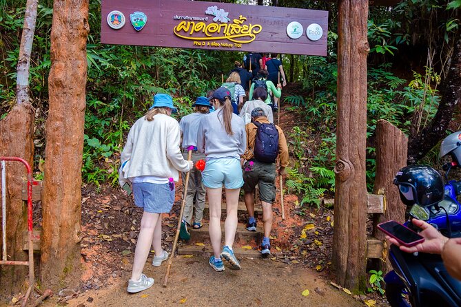 Pha Dok Siew Nature Trail & Doi Inthanon National Park From Chiang Mai - What the $33.65 price really covers