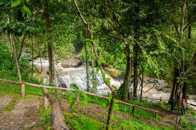 Pha Dok Siew Nature Trail & Doi Inthanon National Park From Chiang Mai - Who will enjoy this day most