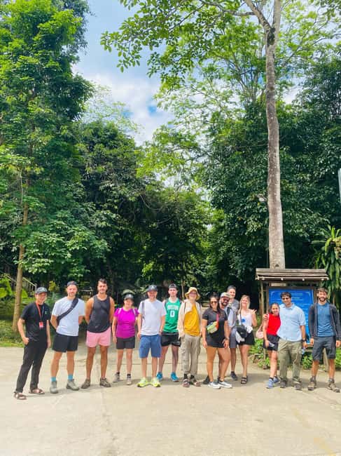 Phong Nha National Park: Paradise Cave Half-Day Tour - Lotus flowers, waterfalls, and old trees in stone