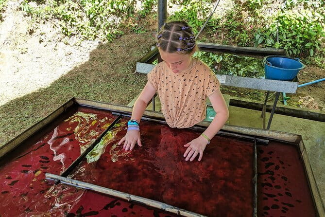 Phuket Elephant Nature Reserve Ethical Sanctuary - The dung-recycling center is more useful than it sounds