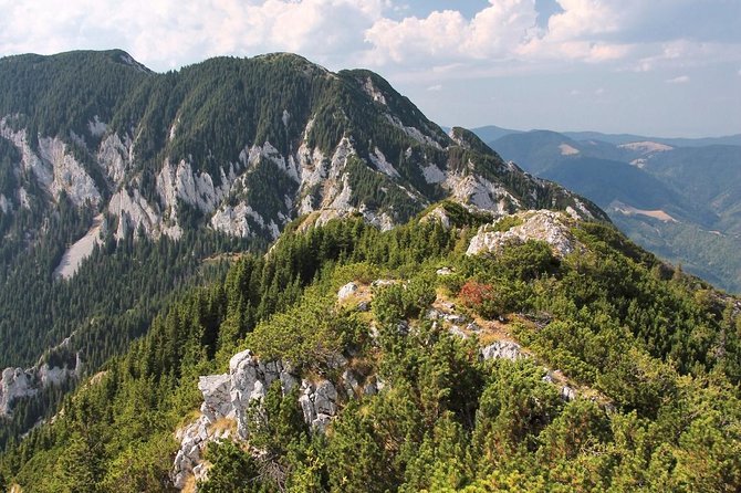 Piatra Craiului National Park Private Hiking Tour from Brasov - Choosing between a gentle walk and a serious climb