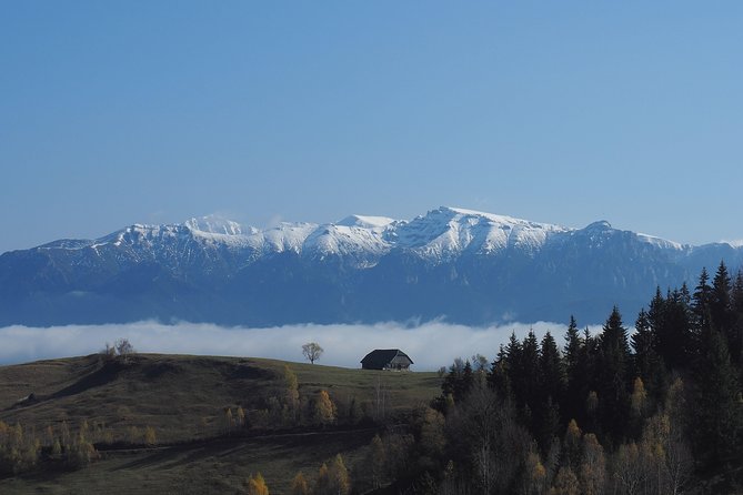 Piatra Craiului National Park Private Hiking Tour from Brasov - Lunch is simple, local, and not included