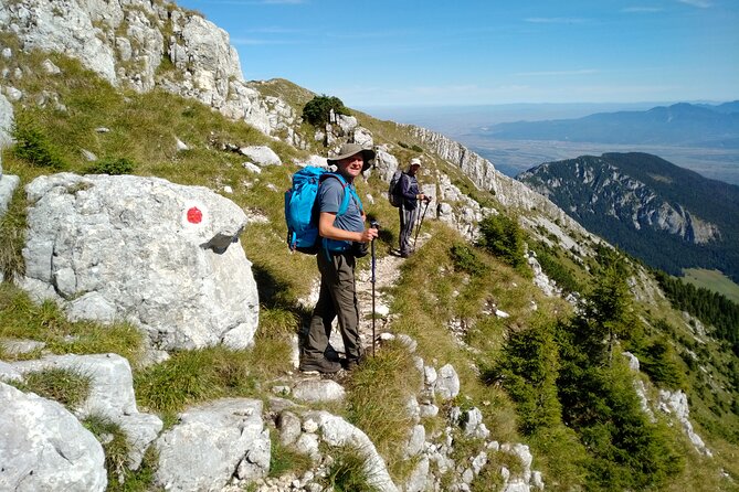Piatra Craiului National Park Private Hiking Tour from Brasov - Is $126.98 a fair price?