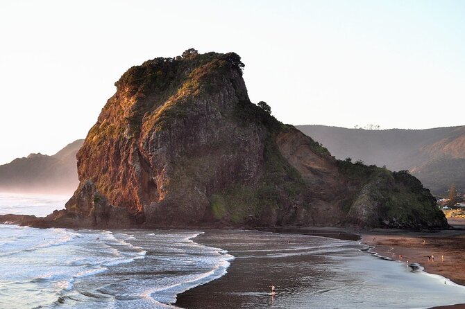 Piha Beach & Wilderness Nature : PRIVATE TOUR 8 hrs - From Westhaven Marina to Auckland’s best city view