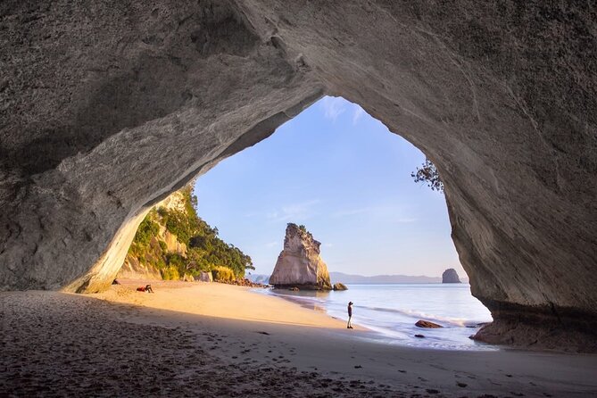Piha Beach & Wilderness Nature : PRIVATE TOUR 8 hrs - Optional rainforest and waterfall stops