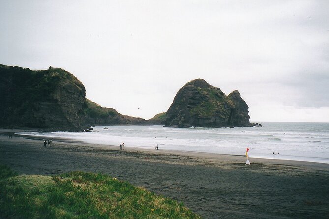 Piha Beach & Wilderness Nature : PRIVATE TOUR 8 hrs - Who will get the most from this outing