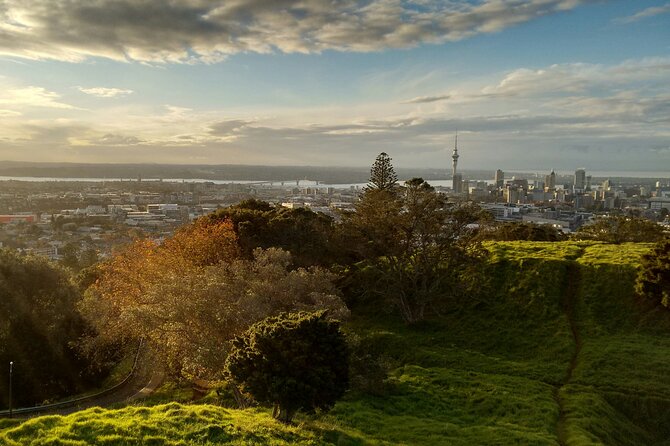 Piha Beach & Wilderness Nature : PRIVATE TOUR 8 hrs - Mission Bay and the Rangitoto view
