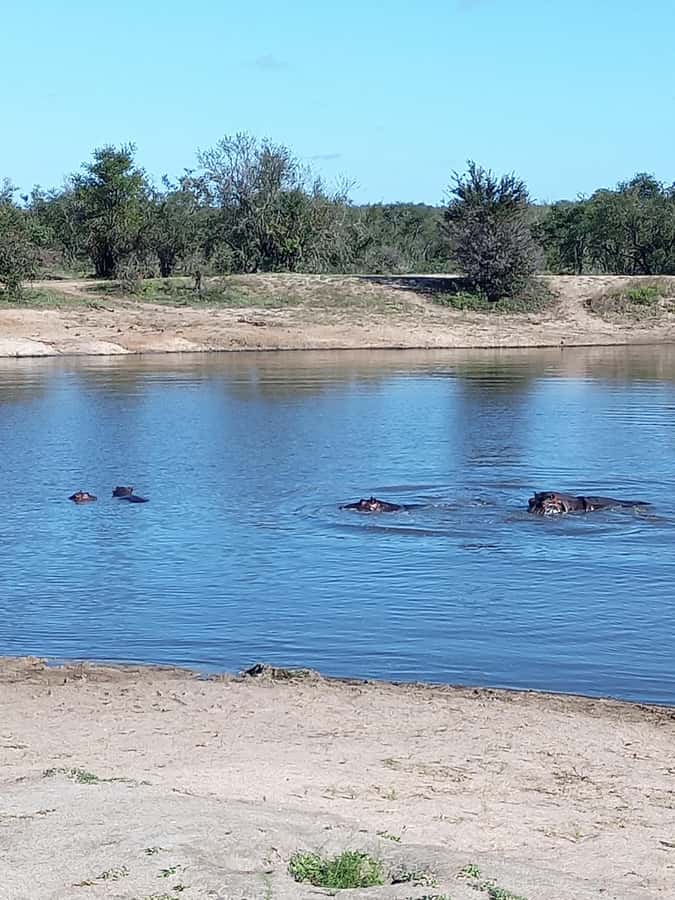 Pilanesberg National Park - The lunch break and the afternoon schedule