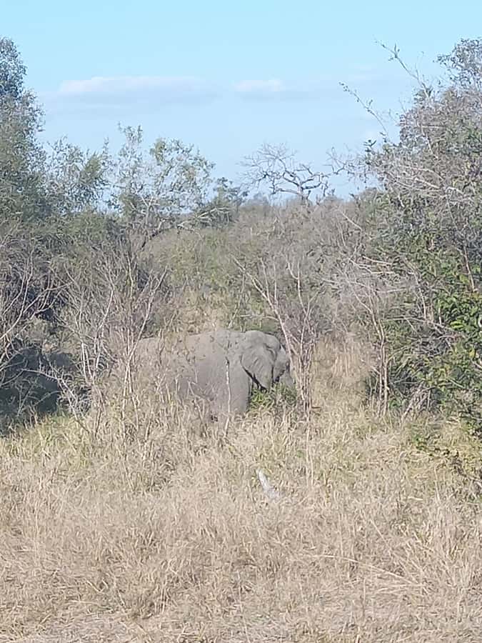 Pilanesberg National Park - Who will get the most from this day