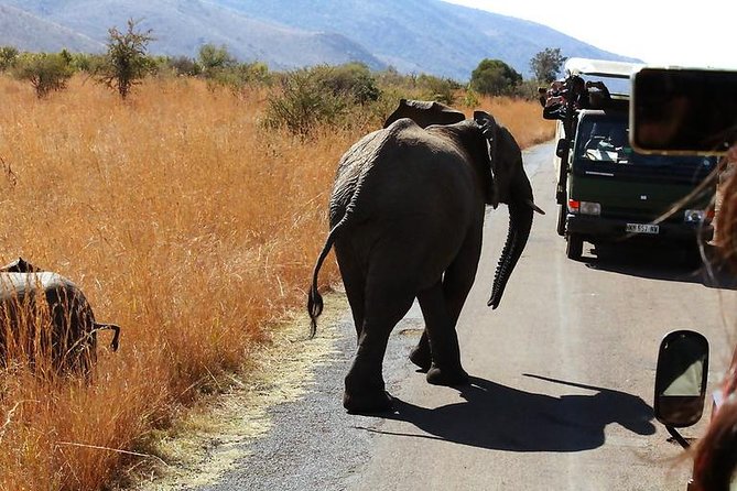 Pilanesberg National Park Full Day Safari From Johannesburg - Lunch after the safari, at your own cost