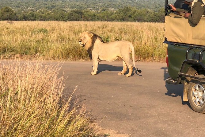 Pilanesberg National Park Full Day Safari From Johannesburg - The 6:00 am pickup from Johannesburg