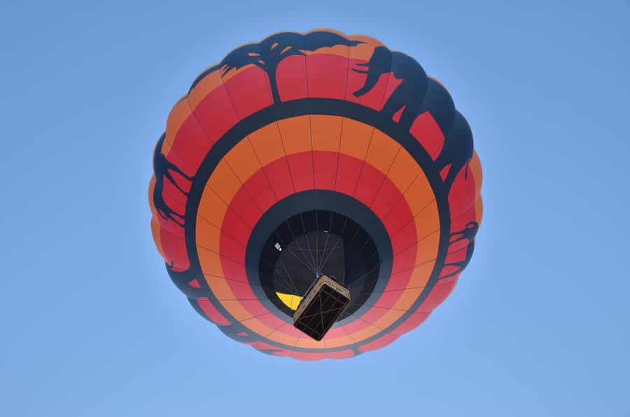 Pilanesberg National Park/Sun City Hot Air Balloon Safari - Key points before you book