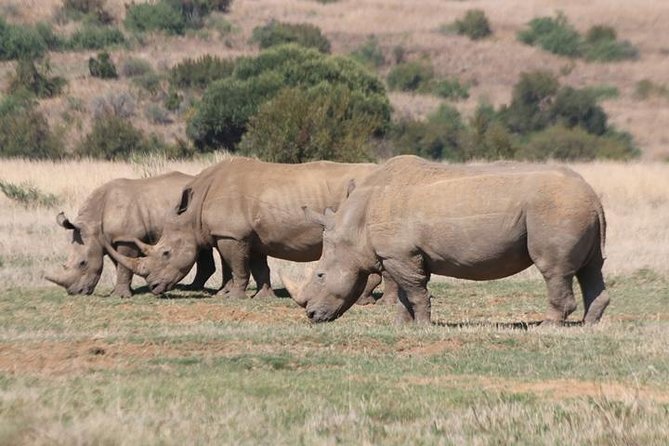 Pilanesberg Nature Reserve - Entering the 550-square-kilometre reserve
