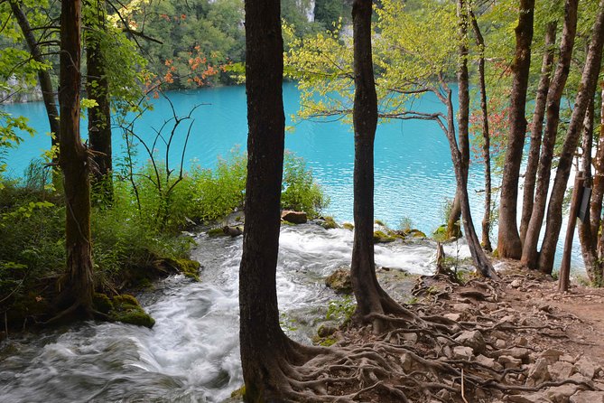 Plitvice Lakes National Park Tour from Zadar - Guides Ivana, Zrinka, and the importance of group size