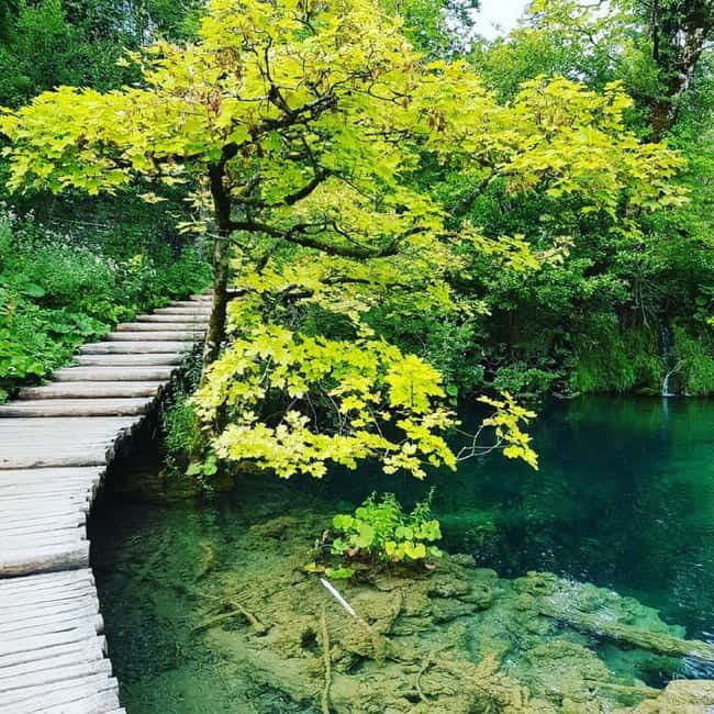 Plitvice Lakes National Park: Walking, Boat, and Train Tour - Meeting your guide at Entrance 1
