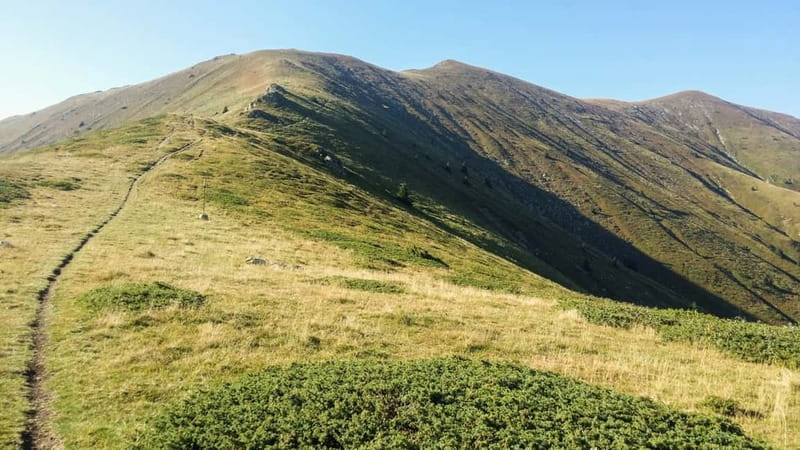 Plovdiv: Central Balkan National Park Guided Hike - What the $111 price really covers