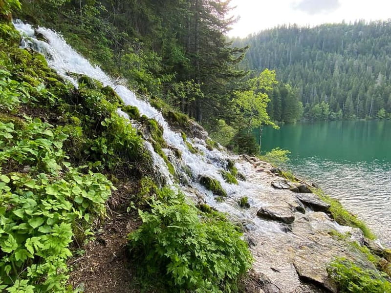 Podgorica: Durmitor National Park- Tara river, bridge & lake - Key points at a glance