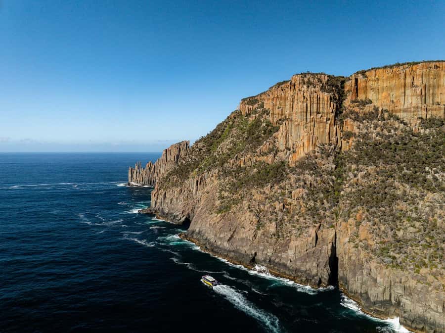 Port Arthur: Cape Raoul Wilderness Cruise - Key points to know before you book