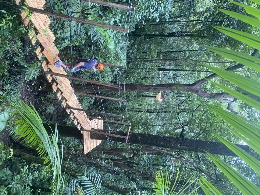 Port Douglas: Daintree National Park Tour, Cruise, & Zipline - Searching for crocodiles on the Daintree River