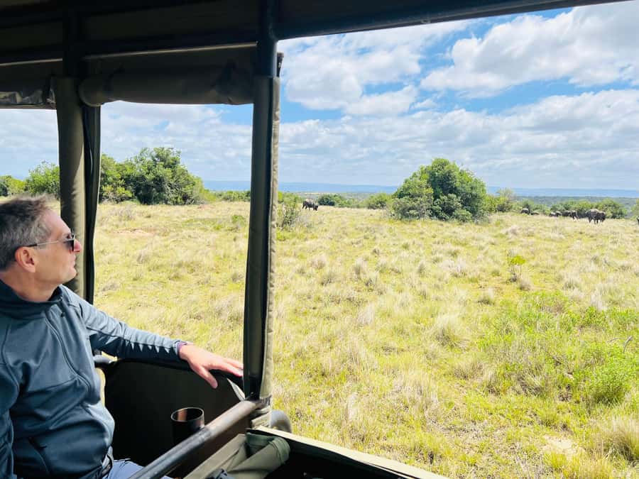 Port Elizabeth: 3-Day Addo Elephant National Park Safari - Why three days works well around Addo
