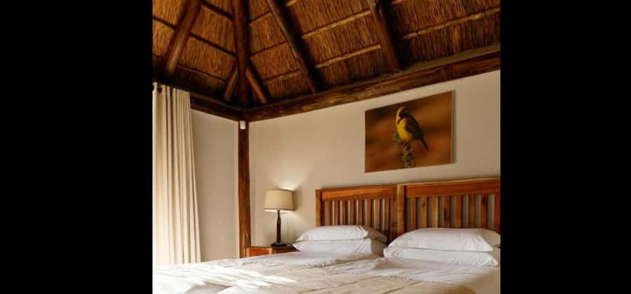 Port Elizabeth: 3-Day Addo Elephant National Park Safari - What the $1,177 price includes