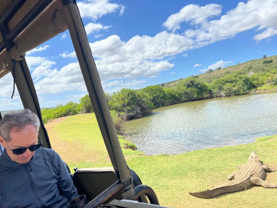 Port Elizabeth: 3-Day Addo Elephant National Park Safari - The first sunset in the Sunday’s River Valley